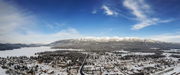 Whitefish
