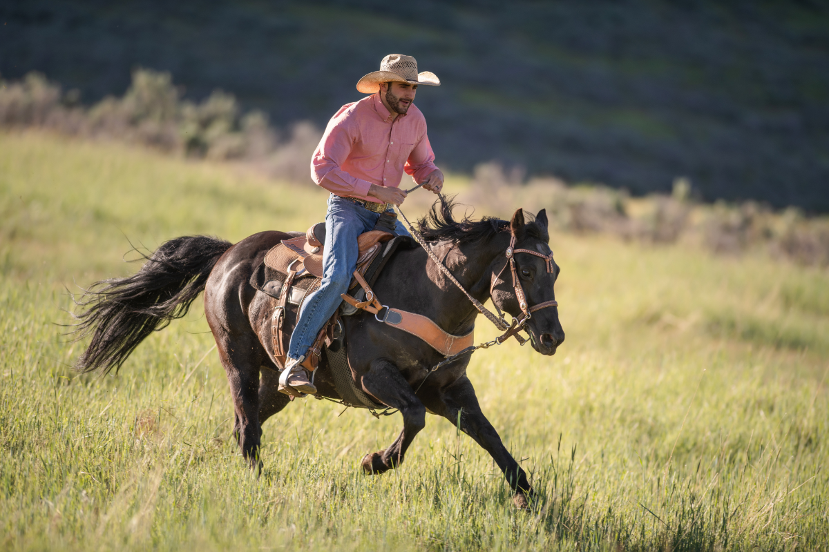Image showcasing Horse Ranch Resort in New York